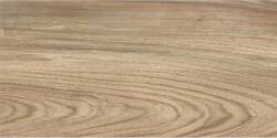 CERAMIKA COLOR emo wood brown rect. 30x60 g1 m2